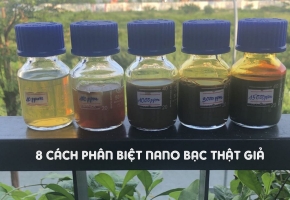 8 cách đơn giản nhận biết nano bạc thật