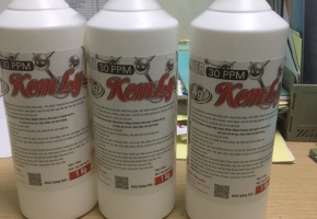 Dung dịch diệt khuẩn tại Bình Dương